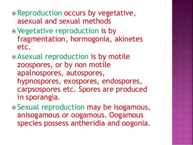 Similarities And Dissimilarities Of Algae And Plants Similarities And Dissimilarities Of Algae And Plants