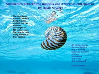 The chambered
nautilus, Nautilus
pompilius, is a
mollusk that has
survived
unchanged for
500 million years.
They are the only
living member of
their species.
An entrepeneur is
the most ancient
way of making
business, since the
origin of
humankind.
Still living.
Still unchanged.
Let’s see more
Similarities between the nautilus and a survival entrepeneur.
By David Navarro
 