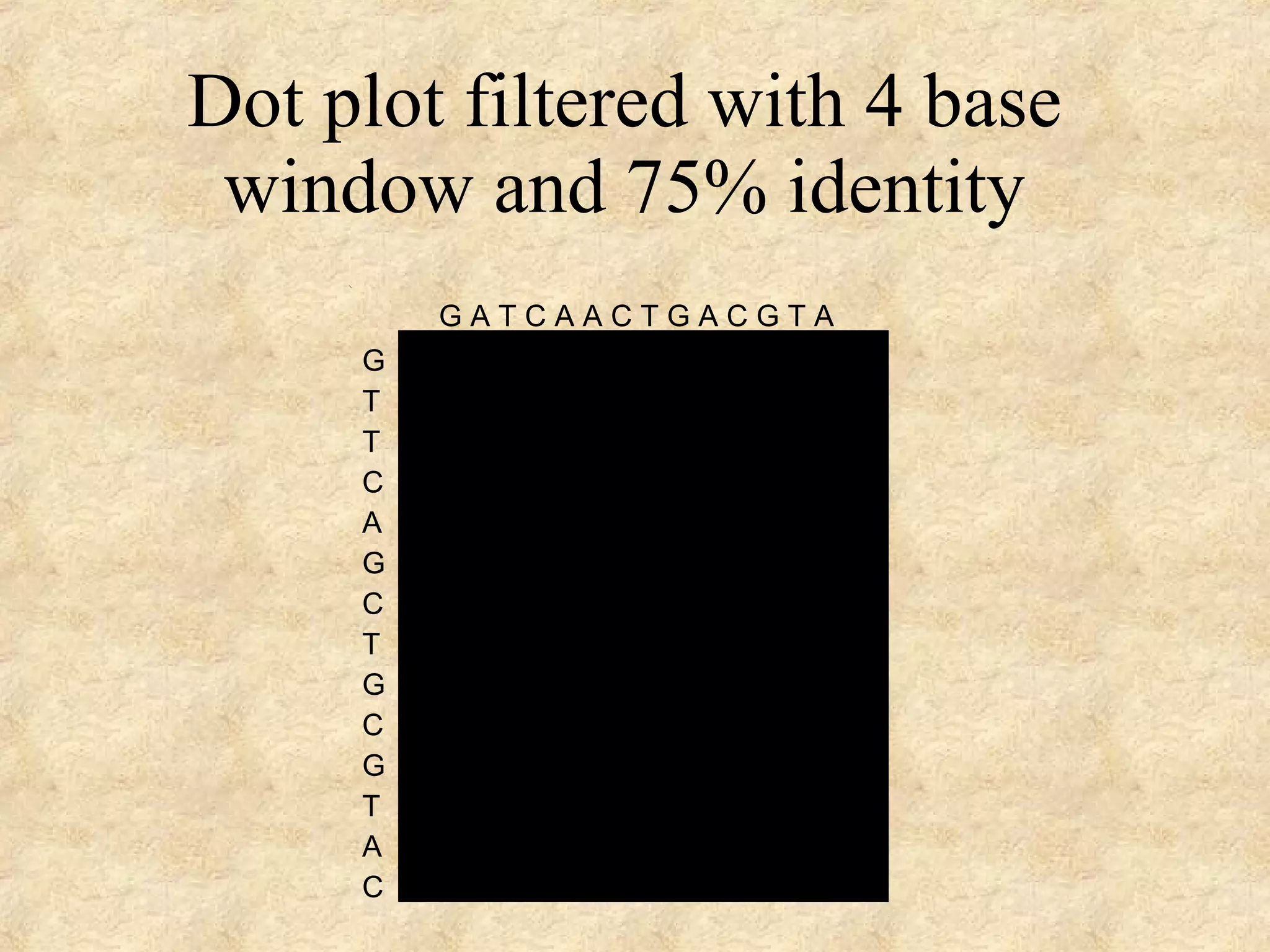 Dot plot filtered with 4 base window and 75% identity 