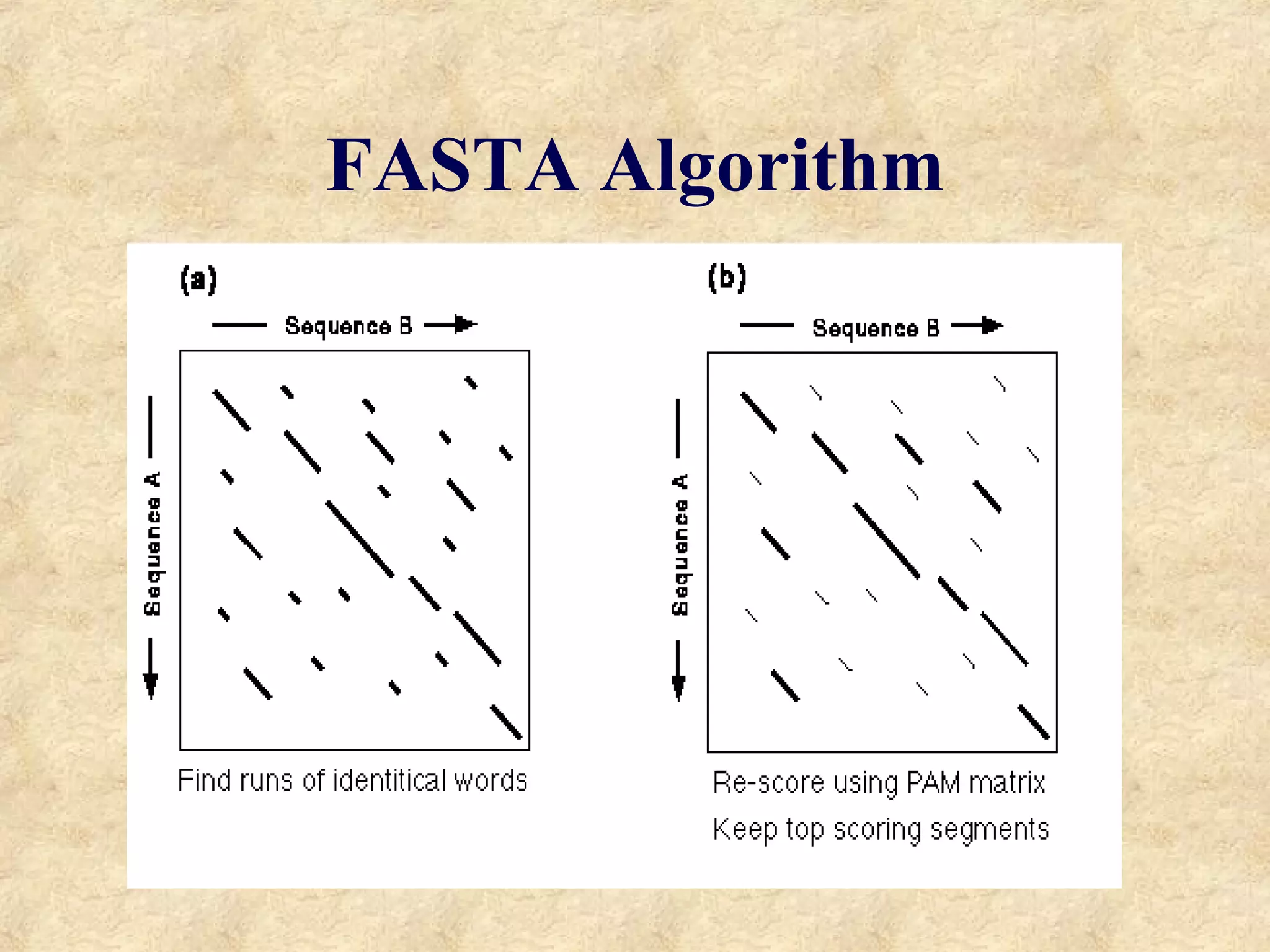 FASTA Algorithm 