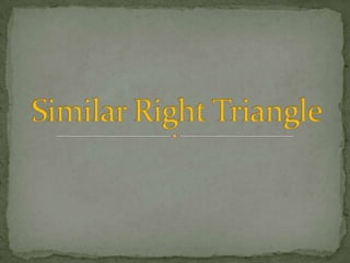 Similar Right Triangle 