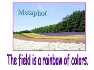 Simile and metaphor powerpoint