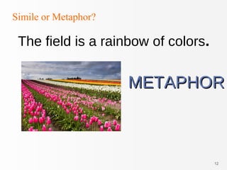 12
Simile or Metaphor?
The field is a rainbow of colors.
METAPHORMETAPHOR
 