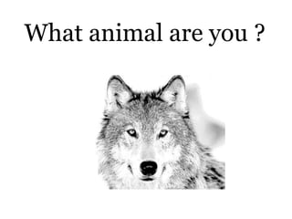 Simile Metaphor Personification