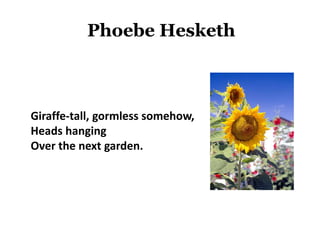 Simile Metaphor Personification