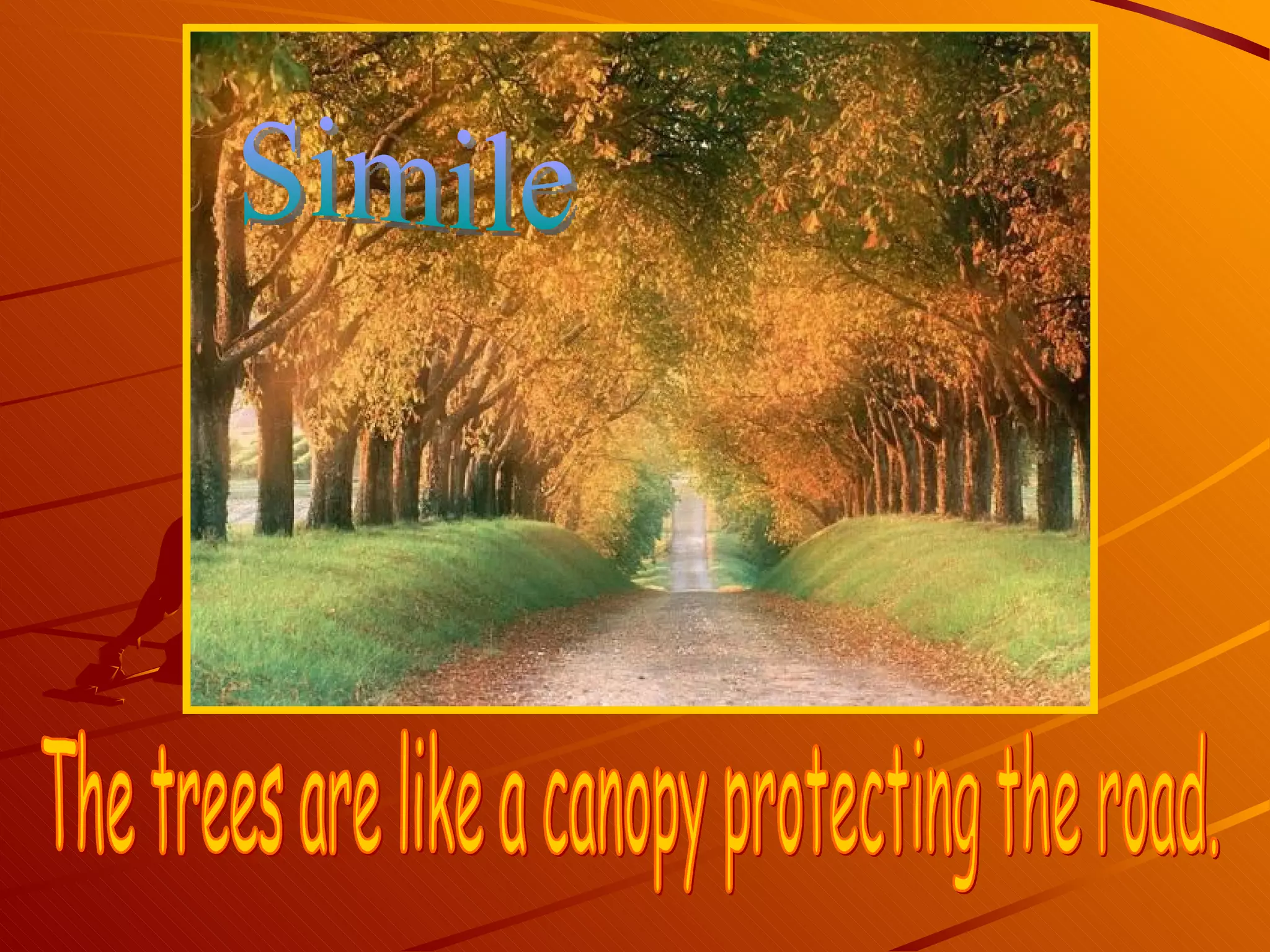 The trees are like a canopy protecting the road. Simile 
