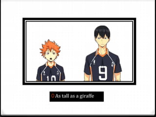 0 As tall as a giraffe
 