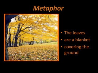 • The leaves
• are a blanket
• covering the
ground
 