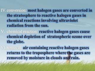most halogen gases are converted in
the stratosphere to reactive halogen gases in
chemical reactions involving ultraviolet
radiation from the sun.
                   reactive halogen gases cause
chemical depletion of stratospheric ozone over
the globe.
         air containing reactive halogen gases
returns to the troposphere where the gases are
removed by moisture in clouds and rain.
 