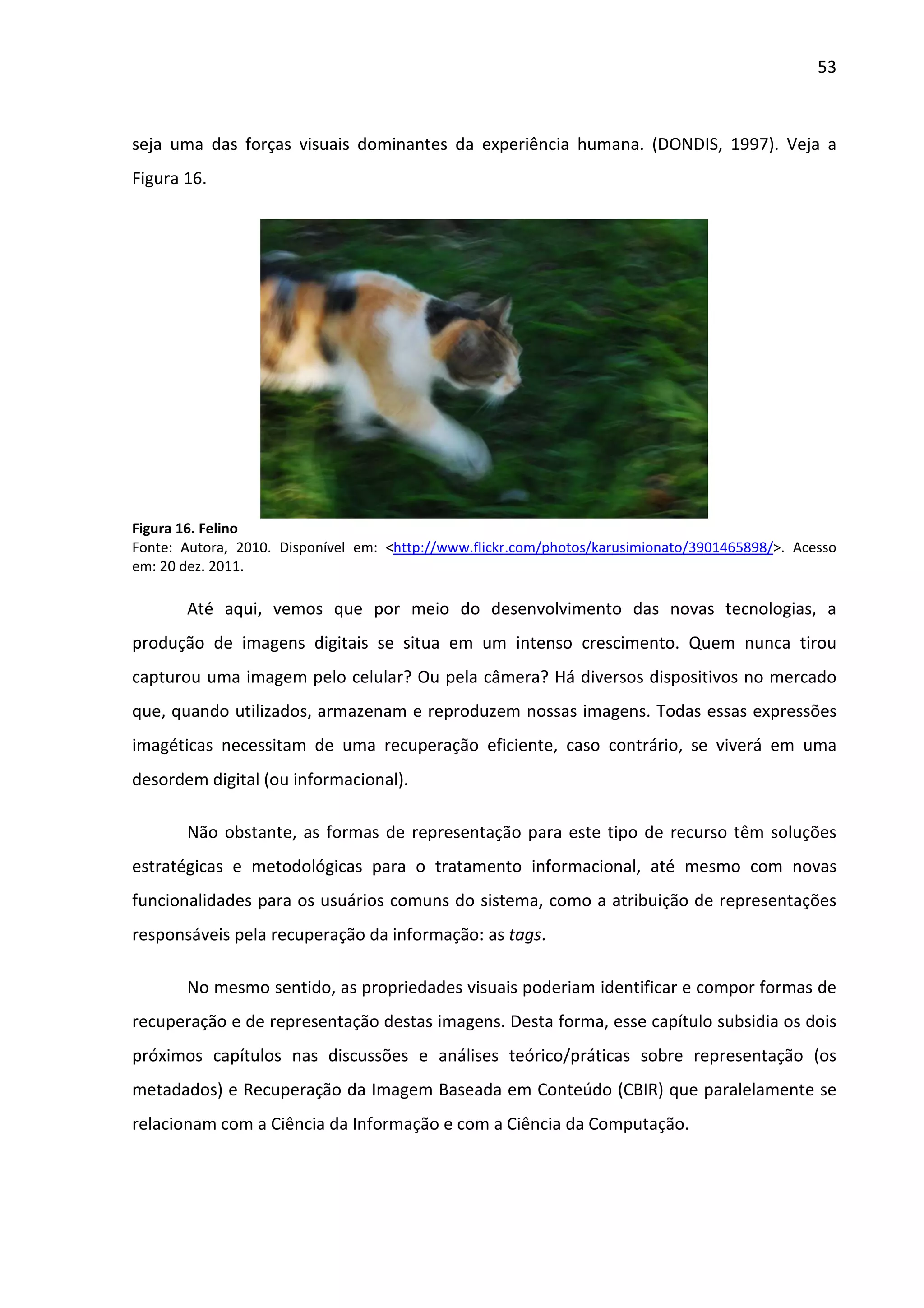 53



seja uma das forças visuais dominantes da experiência humana. (DONDIS, 1997). Veja a
Figura 16.




Figura 16. Felino
Fonte: Autora, 2010. Disponível em: <http://www.flickr.com/photos/karusimionato/3901465898/>. Acesso
em: 20 dez. 2011.

       Até aqui, vemos que por meio do desenvolvimento das novas tecnologias, a
produção de imagens digitais se situa em um intenso crescimento. Quem nunca tirou
capturou uma imagem pelo celular? Ou pela câmera? Há diversos dispositivos no mercado
que, quando utilizados, armazenam e reproduzem nossas imagens. Todas essas expressões
imagéticas necessitam de uma recuperação eficiente, caso contrário, se viverá em uma
desordem digital (ou informacional).

       Não obstante, as formas de representação para este tipo de recurso têm soluções
estratégicas e metodológicas para o tratamento informacional, até mesmo com novas
funcionalidades para os usuários comuns do sistema, como a atribuição de representações
responsáveis pela recuperação da informação: as tags.

       No mesmo sentido, as propriedades visuais poderiam identificar e compor formas de
recuperação e de representação destas imagens. Desta forma, esse capítulo subsidia os dois
próximos capítulos nas discussões e análises teórico/práticas sobre representação (os
metadados) e Recuperação da Imagem Baseada em Conteúdo (CBIR) que paralelamente se
relacionam com a Ciência da Informação e com a Ciência da Computação.
 