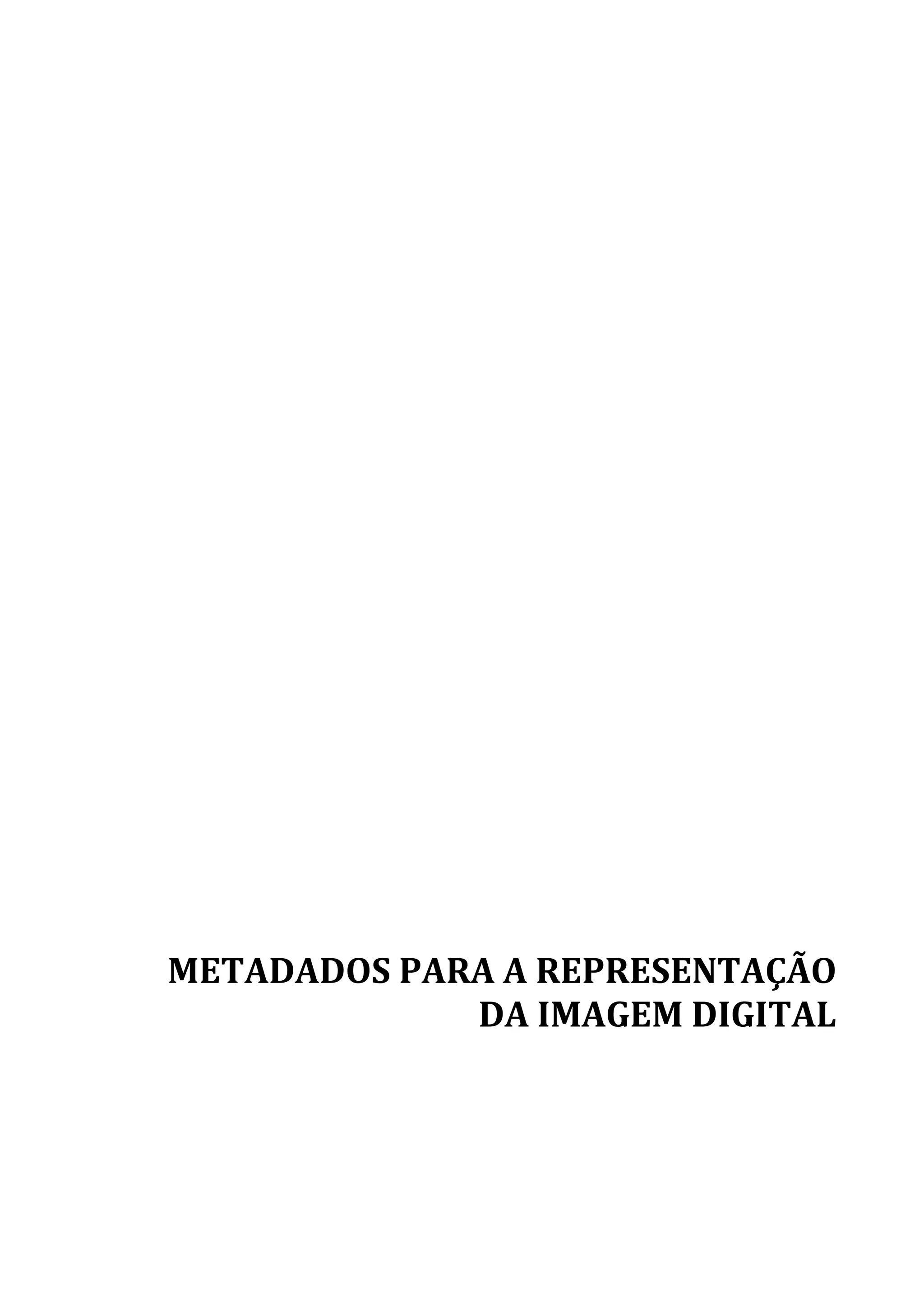 70




METADADOS PARA A REPRESENTAÇÃO
             DA IMAGEM DIGITAL
 