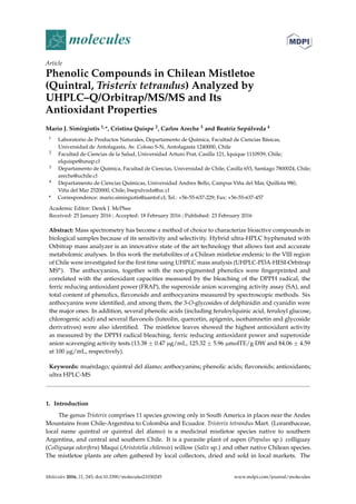molecules
Article
Phenolic Compounds in Chilean Mistletoe
(Quintral, Tristerix tetrandus) Analyzed by
UHPLC–Q/Orbitrap/MS/MS and Its
Antioxidant Properties
Mario J. Simirgiotis 1,*, Cristina Quispe 2, Carlos Areche 3 and Beatriz Sepúlveda 4
1 Laboratorio de Productos Naturales, Departamento de Química, Facultad de Ciencias Básicas,
Universidad de Antofagasta, Av. Coloso S-N, Antofagasta 1240000, Chile
2 Facultad de Ciencias de la Salud, Universidad Arturo Prat, Casilla 121, Iquique 1110939, Chile;
elquispe@unap.cl
3 Departamento de Química, Facultad de Ciencias, Universidad de Chile, Casilla 653, Santiago 7800024, Chile;
areche@uchile.cl
4 Departamento de Ciencias Químicas, Universidad Andres Bello, Campus Viña del Mar, Quillota 980,
Viña del Mar 2520000, Chile; bsepulveda@uc.cl
* Correspondence: mario.simirgiotis@uantof.cl; Tel.: +56-55-637-229; Fax: +56-55-637-457
Academic Editor: Derek J. McPhee
Received: 25 January 2016 ; Accepted: 18 February 2016 ; Published: 23 February 2016
Abstract: Mass spectrometry has become a method of choice to characterize bioactive compounds in
biological samples because of its sensitivity and selectivity. Hybrid ultra-HPLC hyphenated with
Orbitrap mass analyzer is an innovative state of the art technology that allows fast and accurate
metabolomic analyses. In this work the metabolites of a Chilean mistletoe endemic to the VIII region
of Chile were investigated for the ﬁrst time using UHPLC mass analysis (UHPLC-PDA-HESI-Orbitrap
MSn). The anthocyanins, together with the non-pigmented phenolics were ﬁngerprinted and
correlated with the antioxidant capacities measured by the bleaching of the DPPH radical, the
ferric reducing antioxidant power (FRAP), the superoxide anion scavenging activity assay (SA), and
total content of phenolics, ﬂavonoids and anthocyanins measured by spectroscopic methods. Six
anthocyanins were identiﬁed, and among them, the 3-O-glycosides of delphinidin and cyanidin were
the major ones. In addition, several phenolic acids (including feruloylquinic acid, feruloyl glucose,
chlorogenic acid) and several ﬂavonols (luteolin, quercetin, apigenin, isorhamnetin and glycoside
derivatives) were also identiﬁed. The mistletoe leaves showed the highest antioxidant activity
as measured by the DPPH radical bleaching, ferric reducing antioxidant power and superoxide
anion scavenging activity tests (13.38 ˘ 0.47 µg/mL, 125.32 ˘ 5.96 µmolTE/g DW and 84.06 ˘ 4.59
at 100 µg/mL, respectively).
Keywords: muérdago; quintral del álamo; anthocyanins; phenolic acids; ﬂavonoids; antioxidants;
ultra HPLC-MS
1. Introduction
The genus Tristerix comprises 11 species growing only in South America in places near the Andes
Mountains from Chile-Argentina to Colombia and Ecuador. Tristerix tetrandus Mart. (Loranthaceae,
local name quintral or quintral del álamo) is a medicinal mistletoe species native to southern
Argentina, and central and southern Chile. It is a parasite plant of aspen (Populus sp.) colliguay
(Colliguaya odorifera) Maqui (Aristotelia chilensis) willow (Salix sp.) and other native Chilean species.
The mistletoe plants are often gathered by local collectors, dried and sold in local markets. The
Molecules 2016, 21, 245; doi:10.3390/molecules21030245 www.mdpi.com/journal/molecules
 