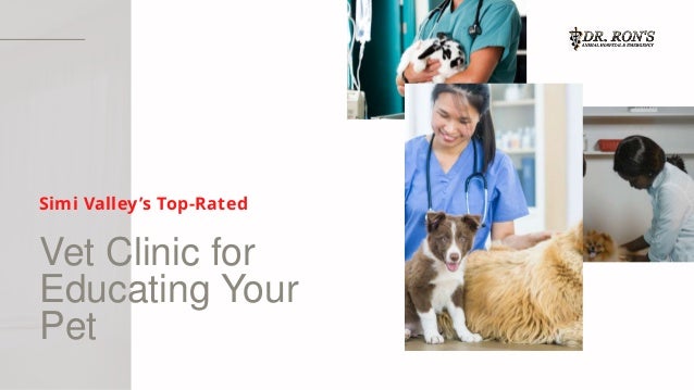 Vet Clinic for
Educating Your
Pet
Simi Valley’s Top-Rated
 