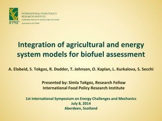 Integration of agricultural and energy
system models for biofuel assessment
A. Elobeid, S. Tokgoz, R. Dodder, T. Johnson, O. Kaplan, L. Kurkalova, S. Secchi
Presented by: Simla Tokgoz, Research Fellow
International Food Policy Research Institute
1st International Symposium on Energy Challenges and Mechanics
July 8, 2014
Aberdeen, Scotland
 