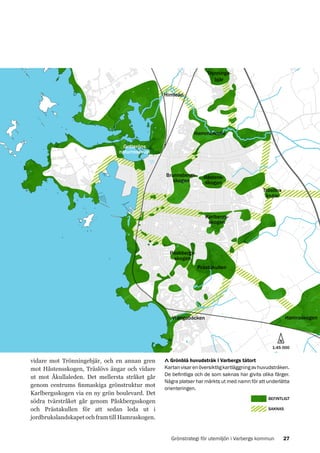Trönningebjär
Himleån

Hammerkulle
Getteröns
naturreservat

Brunnsbergsskogen

Håstensskogen
Träslövs
ängar

Karlbergsskogen

Påskbergsskogen
Prästakullen

Hamraskogen

Vrångabäcken

N
1:45 000

vidare mot Trönningebjär, och en annan gren
mot Håstensskogen, Träslövs ängar och vidare
ut mot Åkullaleden. Det mellersta stråket går
genom centrums finmaskiga grönstruktur mot
Karlbergsskogen via en ny grön boulevard. Det
södra tvärstråket går genom Påskbergsskogen
och Prästakullen för att sedan leda ut i
jordbrukslandskapet och fram till Hamraskogen.

Grönblå huvudstråk i Varbergs tätort
Kartan visar en översiktlig kartläggning av huvudstråken.
De befintliga och de som saknas har givits olika färger.
Några platser har märkts ut med namn för att underlätta
orienteringen.
BEFINTLIGT
SAKNAS

Grönstrategi för utemiljön i Varbergs kommun

27

 