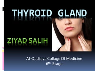 THYROID GLAND 
Al-Qadisiya Collage Of Medicine 
6th Stage 
 