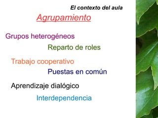 El contexto del aula 
Agrupamiento 
Grupos heterogéneos 
Reparto de roles 
Trabajo cooperativo 
Puestas en común 
Aprendizaje dialógico 
Interdependencia 
 
