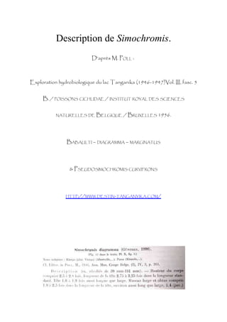 Description de Simochromis.
                          D’après M. POLL :



Exploration hydrobiologique du lac Tanganika (1946-1947)Vol. III, fasc. 5


     B. / POISSONS CICHLIDAE / INSTITUT ROYAL DES SCIENCES


           NATURELLES DE    BELGIQUE / BRUXELLES 1956.




                BABAULTI – DIAGRAMMA – MARGINATUS




                 & PSEUDOSIMOCHROMIS CURVIFRONS




               HTTP://WWW.DESTIN-TANGANYIKA.COM/
 