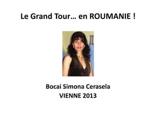 Le Grand Tour… en ROUMANIE !
Bocai Simona Cerasela
VIENNE 2013
 