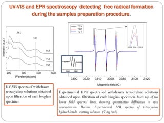 UV-VIS and EPR spectroscopy detecting free radical formation 
during the samples preparation procedure. 
200 300 400 500 
TC3 
TC2 
Intensity (a.u.) 
Wavelength (nm) 
TC1 
3300 3320 3340 3360 3380 3400 3420 
3333.6 3334.5 3335.4 
Magnetic field (G) 
TC3 
TC2 
TC1 
Experimental EPR spectra of withdrawn tetracycline solutions 
obtained upon filtration of each bioglass specimen. Inset: top of the 
lower field spectral lines, showing quantitative differences in spin 
concentration. Bottom: Experimental EPR spectra of tetracycline 
hydrochloride starting solution (7 mg/mL) 
265 
383 
UV-VIS spectra of withdrawn 
tetracycline solutions obtained 
upon filtration of each bioglass 
specimen 
 