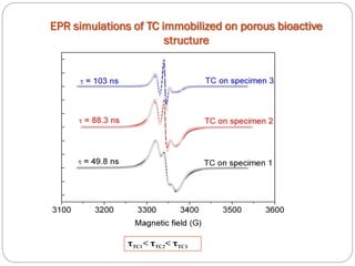 EPR simulations of TC immobilized on porous bioactive structure 
τTC1< τTC2< τTC3  