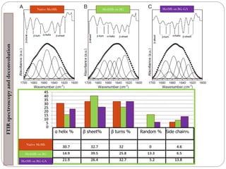 Native MeMb 
MethMbon BG 
MetMbon BG-GA 
Native MetMb 
MethMbon BG 
MetMbon BG-GA 
FTIR spectroscopy and deconvolution 
αhelix % βsheet% βturns % Random % Side chain%  
