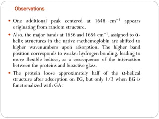 Observations 
Oneadditionalpeakcenteredat1648cm−1appearsoriginatingfromrandomstructure. 
Also,themajorbandsat1656and1654cm−1,assignedtoα- helixstructuresinthenativemethemoglobinareshiftedtohigherwavenumbersuponadsorption.Thehigherbandpositioncorrespondstoweakerhydrogenbonding,leadingtomoreflexiblehelices,asaconsequenceoftheinteractionbetweentheproteinsandbioactiveglass. 
Theproteinlooseapproximatelyhalfoftheα-helicalstructureafteradsorptiononBG,butonly1/3whenBGisfunctionalizedwithGA.  