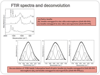 FTIR spectra and deconvolution 
(a) Native insulin 
(b) insulin entrapped in zinc-silica microspheres (ZnSi-SD-INS) 
(c) insulin entrapped in zinc-silica microparticles(ZnSi-FD-INS) 
Deconvolutionof FTIR Amide I absorption band of native insulin (a), insulin entrapped in ZnSi-SD-INS microspheres (b), and insulin entrapped in microparticles(ZnSi-FD-INS) (c).  