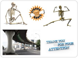 Simona cavalu apmas2014