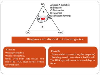 Bioglassesare divided in two categories: 
ClassA: 
•Osteoproductive 
•Osteoconductive. 
•Bindwithbothsofttissuesandbone.TheHCAlayerformswithinseveralhours. 
ClassB: 
•Osteoconductive(such as ydroxyapatite) 
•Bonding to soft tissues is not facilitated. The HCA layer takes one to several days to form.  
