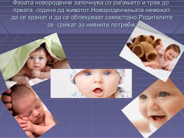 развојни фази на човекот