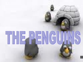 THE PENGUINS 