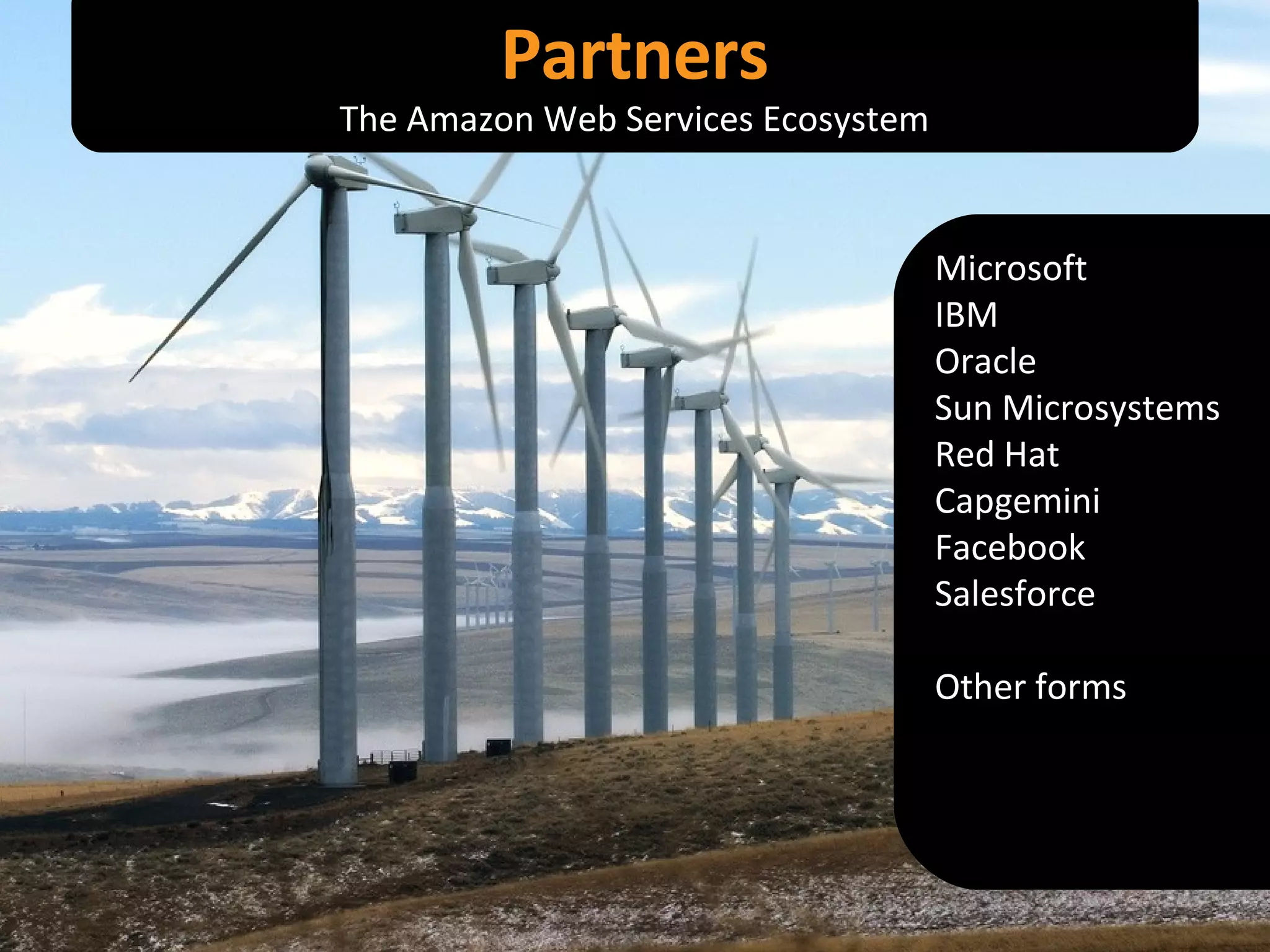 Microsoft IBM Oracle Sun Microsystems Red Hat Capgemini Facebook Salesforce Other forms Partners The Amazon Web Services Ecosystem 
