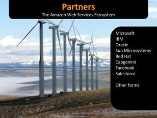 Microsoft IBM Oracle Sun Microsystems Red Hat Capgemini Facebook Salesforce Other forms Partners The Amazon Web Services Ecosystem 