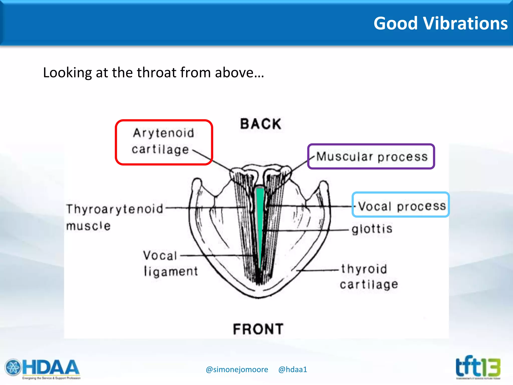 @simonejomoore @hdaa1
Good Vibrations
Looking at the throat from above…
 