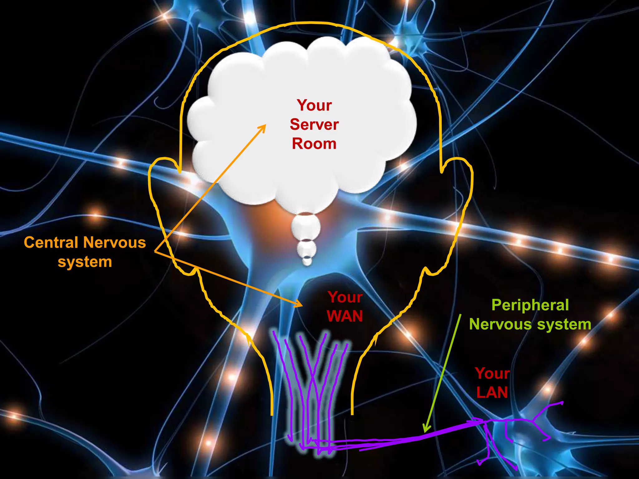 @simonejomoore @hdaa1
Your
Server
Room
Your
WAN
Your
LAN
Central Nervous
system
Peripheral
Nervous system
 