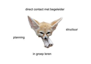 in groep leren planning structuur direct contact met begeleider 