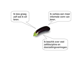 Ik verkies een meer informele vorm van leren. Ik kies graag zelf wat ik wil leren. Ik beschik over veel zelfdiscipline en doorzettingsvermogen. 