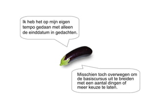 Ik heb het op mijn eigen tempo gedaan met alleen de einddatum in gedachten. Misschien toch overwegen om de basiscursus uit te breiden met een aantal dingen of meer keuze te laten. 