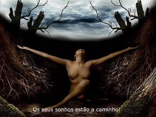 Os seus sonhos estão a caminho! 