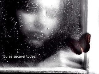 Eu as secarei todas!
 