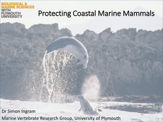 Protecting Coastal Marine Mammals
Dr Simon Ingram
Marine Vertebrate Research Group, University of Plymouth
 