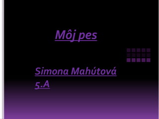Môj pes
Simona Mahútová
5.A
 
