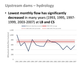 Upstream dams – hydrology
• Lowest monthly flow has significantly
decreased in many years (1993, 1995, 1997-
1999, 2003-2007) at LB and CS
 
