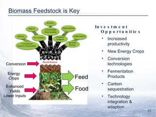 Biomass Feedstock is Key Investment Opportunities Increased productivity New Energy Crops Conversion technologies Fermentation Products Carbon sequestration Technology integration & adaption Food Feed Renewable Feedstocks Enhanced Yields Lower Inputs Energy Crops Conversion 