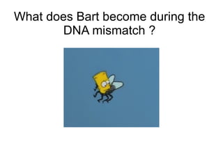 Why is Homer still alive ?  He was in the bathroom 