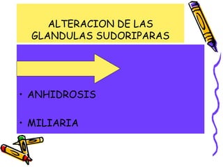 ALTERACION DE LAS
GLANDULAS SUDORIPARAS
• HIPERHIDROSIS
• ANHIDROSIS
• MILIARIA
 