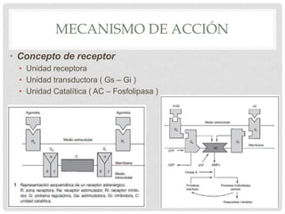 MECANISMO DE ACCIÓN
• Concepto de receptor
• Unidad receptora
• Unidad transductora ( Gs – Gi )
• Unidad Catalítica ( AC – Fosfolipasa )
 