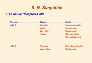 S. N. Simpático
Estímulo: Receptores Alfa
Receptor Organo Efecto
Alfa 1 Arteriola Vasoconstricción.
Vejiga Contracción.
Ojo y Piel Contracción
Hígado Glucogenolisis
Gluconeogénesis
Alfa 2 Páncreas Dism. Secr. Insulina
Vasos Sang. Contracción
 