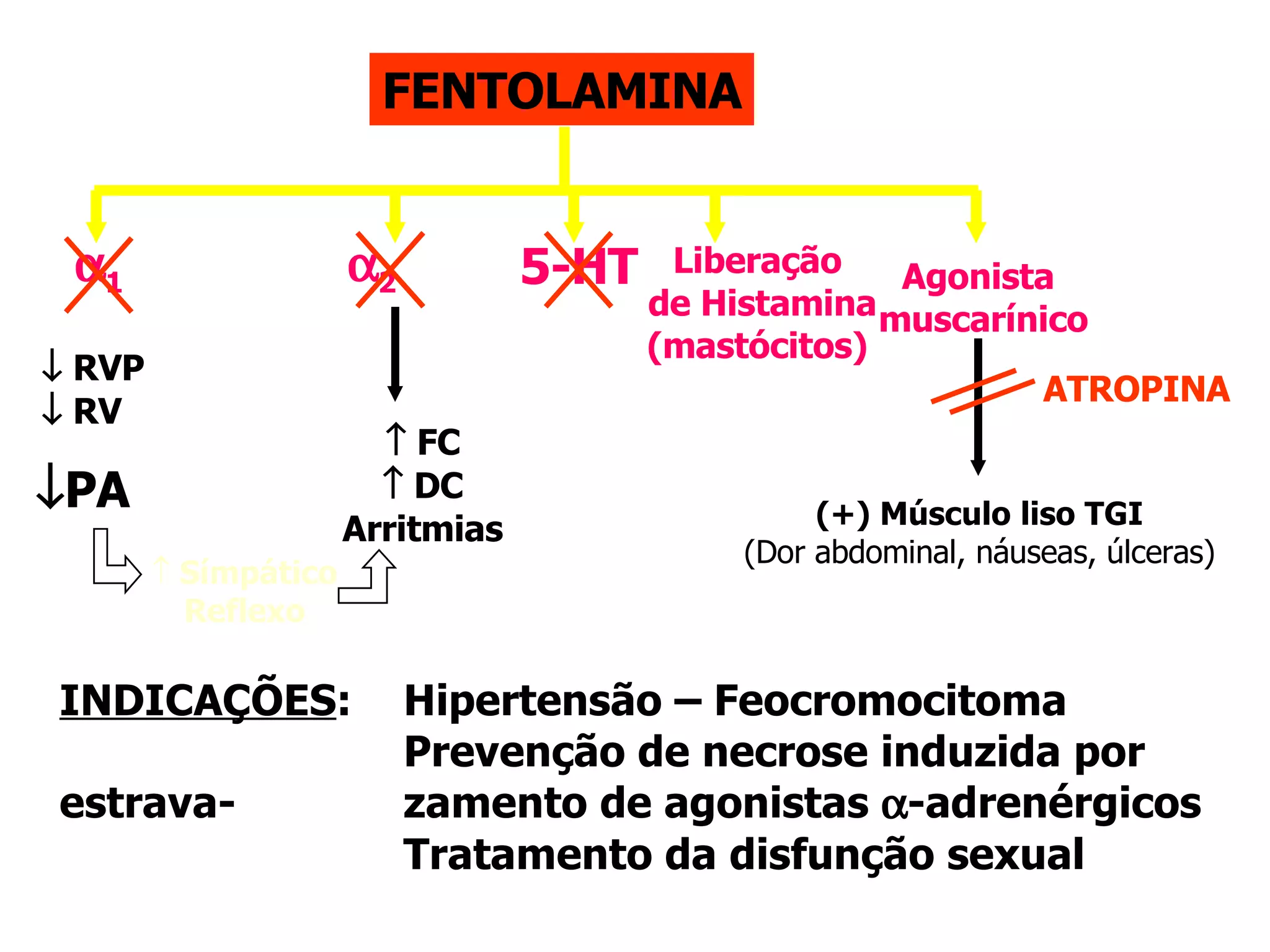 FENTOLAMINA 5-HT Liberação de Histamina (mastócitos) Agonista  muscarínico    RVP    RV  PA    FC    DC Arritmias Símpático Reflexo (+) Músculo liso TGI (Dor abdominal, náuseas, úlceras) INDICAÇÕES :  Hipertensão – Feocromocitoma Prevenção de necrose induzida por estrava- zamento de agonistas   -adrenérgicos Tratamento da disfunção sexual ATROPINA  1  2 